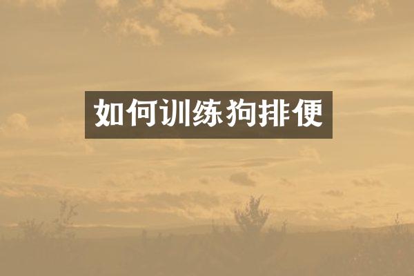 如何训练狗排便