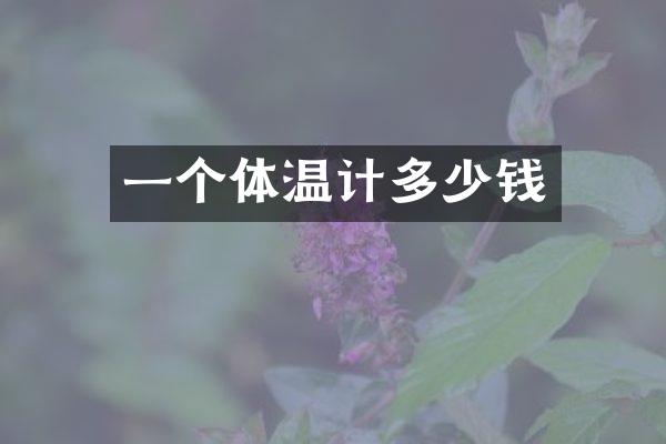 一个体温计多少钱