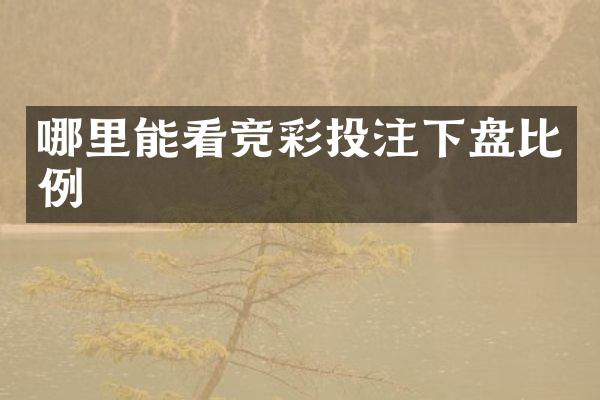 哪里能看竞彩投注下盘比例