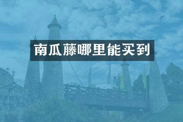 南瓜藤哪里能买到