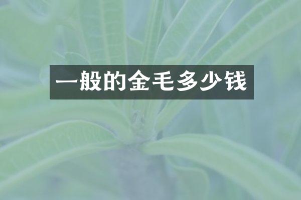 一般的金毛多少钱