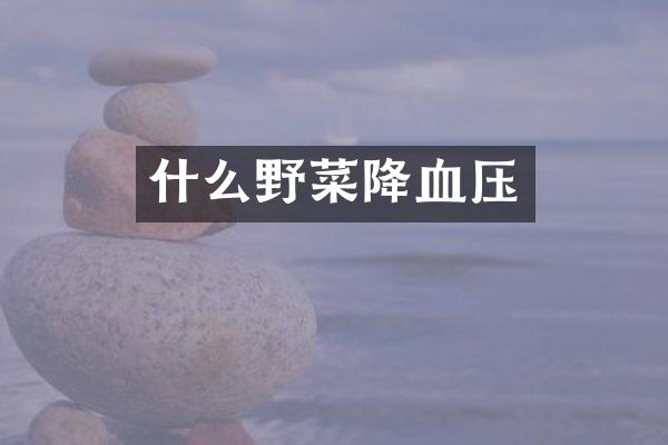 什么野菜降血压