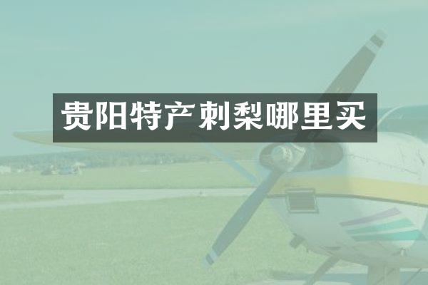 贵阳特产刺梨哪里买