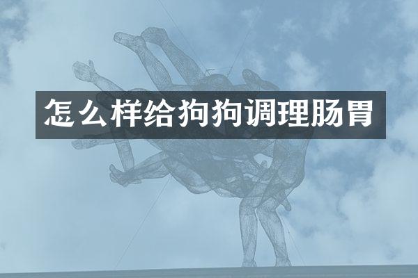 怎么样给狗狗调理肠胃