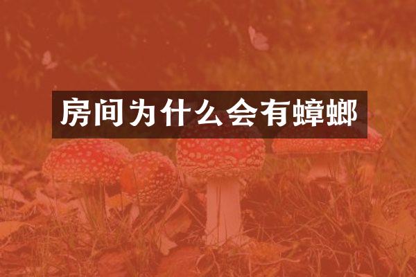 房间为什么会有蟑螂