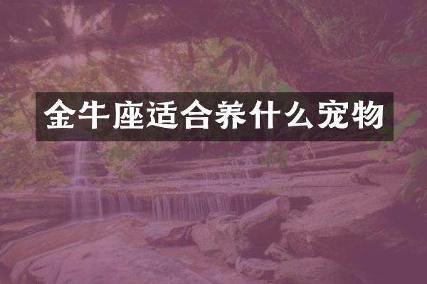 金牛座适合养什么宠物