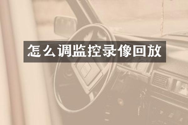 怎么调监控录像回放