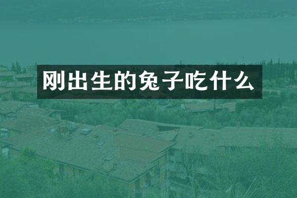 刚出生的兔子吃什么