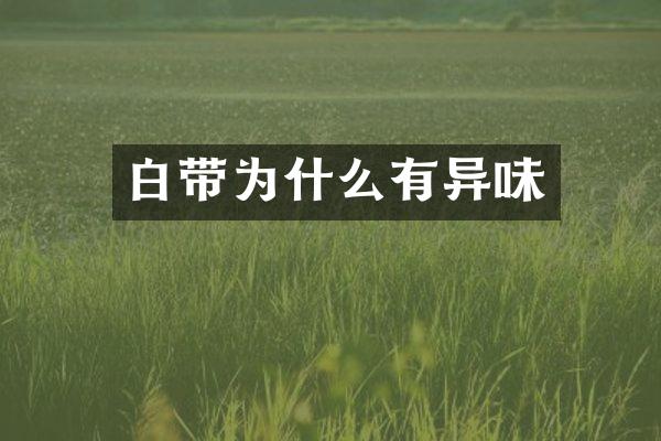 白带为什么有异味