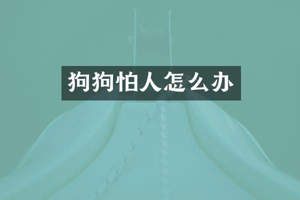 狗狗怕人怎么办