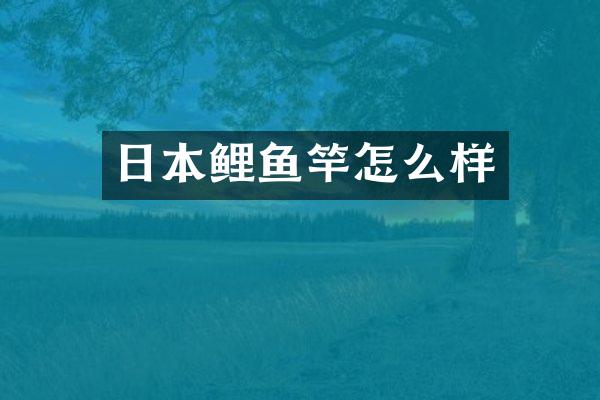 日本鲤鱼竿怎么样