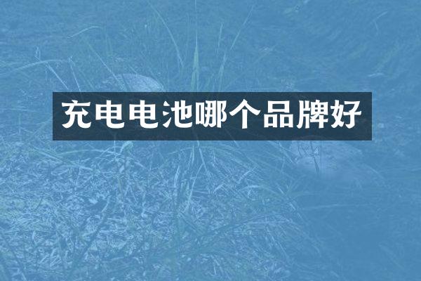 充电电池哪个品牌好