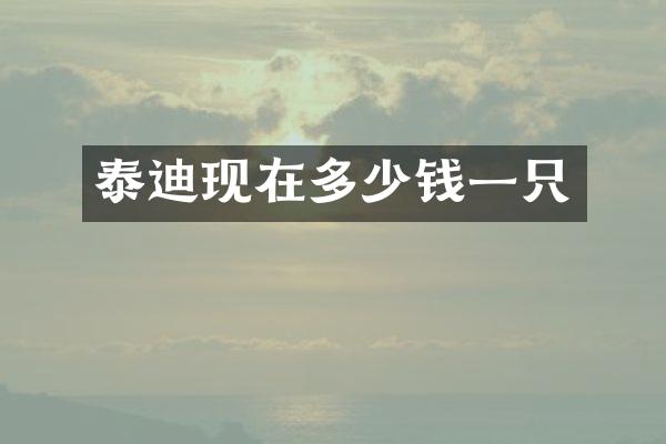 泰迪现在多少钱一只