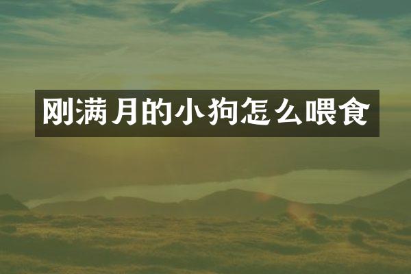 刚满月的小狗怎么喂食
