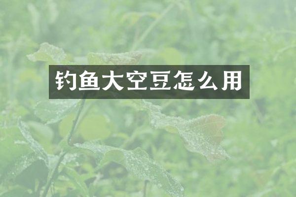 钓鱼大空豆怎么用