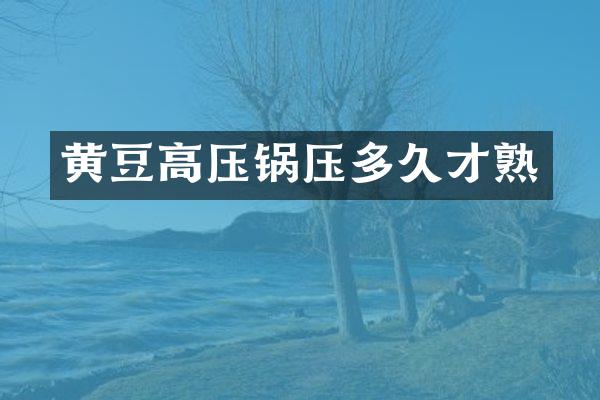 黄豆高压锅压多久才熟