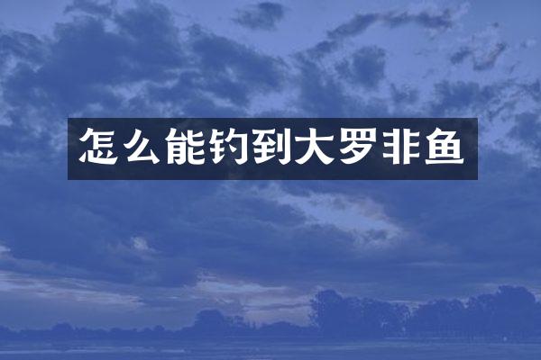 怎么能钓到大罗非鱼