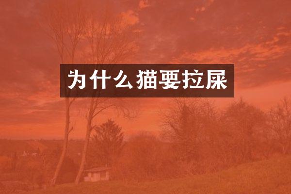 为什么猫要拉屎