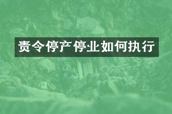 责令停产停业如何执行