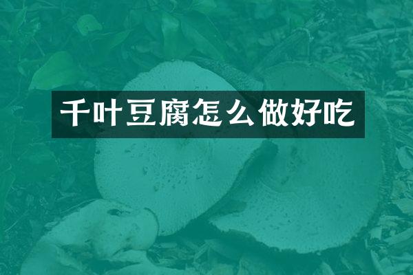 千叶豆腐怎么做好吃