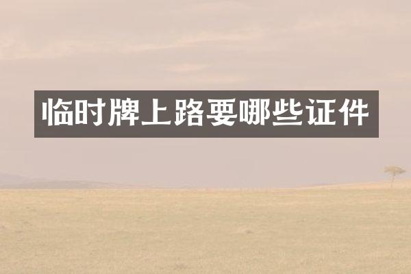 临时牌上路要哪些证件
