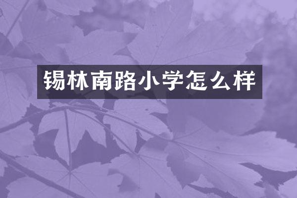 锡林南路小学怎么样