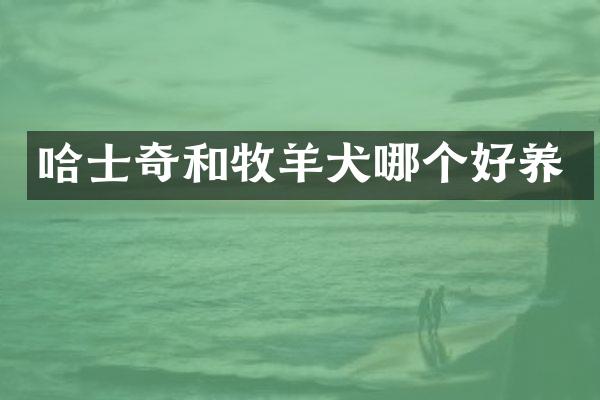哈士奇和牧羊犬哪个好养