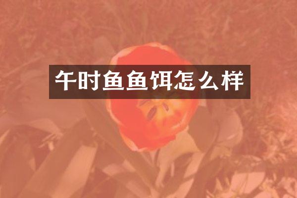 午时鱼鱼饵怎么样