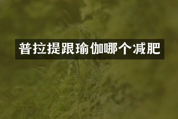 普拉提跟瑜伽哪个减肥