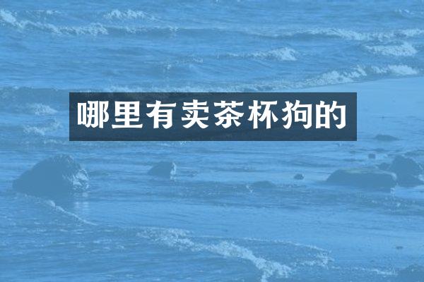 哪里有卖茶杯狗的