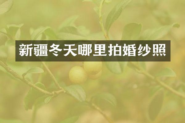 新疆冬天哪里拍婚纱照