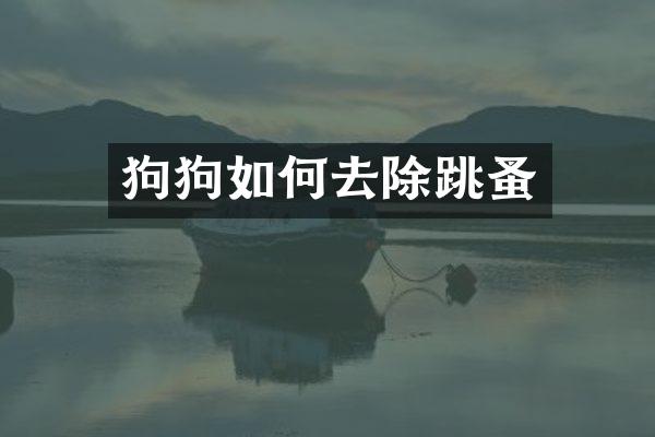 狗狗如何去除跳蚤