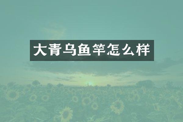 大青乌鱼竿怎么样