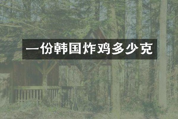 一份韩国炸鸡多少克