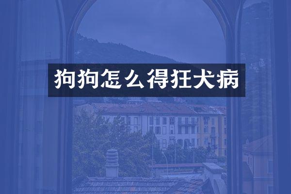 狗狗怎么得狂犬病