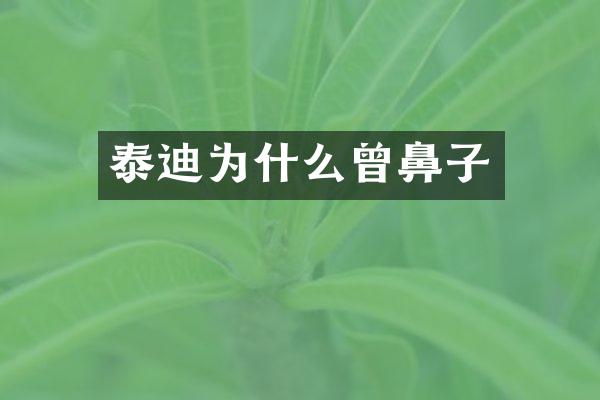 泰迪为什么曾鼻子