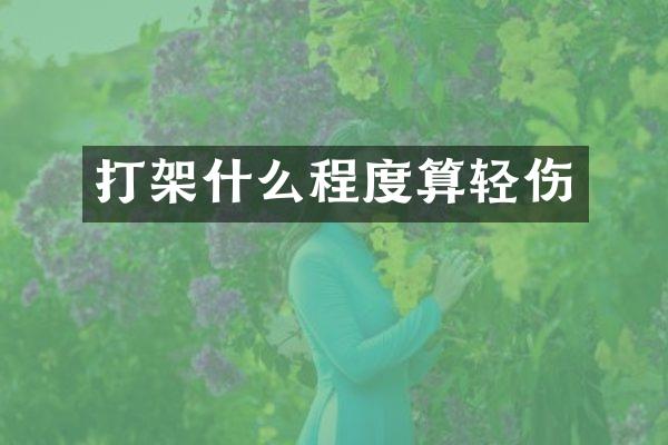 打架什么程度算轻伤