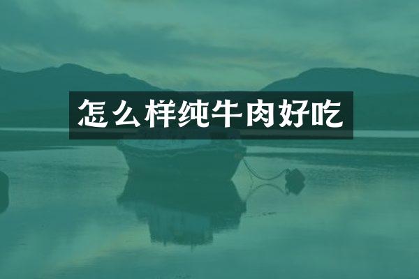 怎么样纯牛肉好吃
