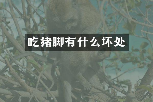 吃猪脚有什么坏处