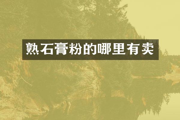 熟石膏粉的哪里有卖