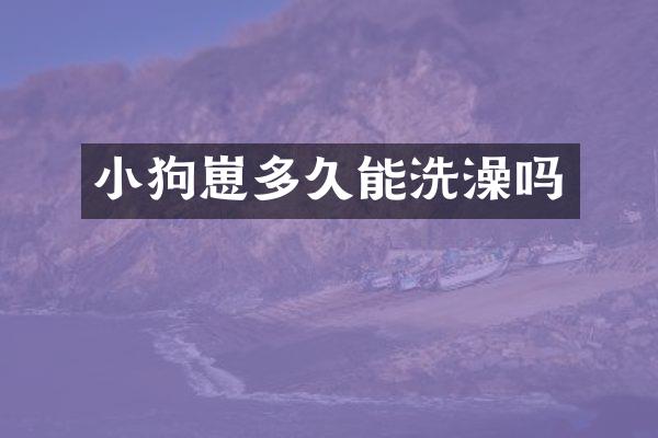 小狗崽多久能洗澡吗