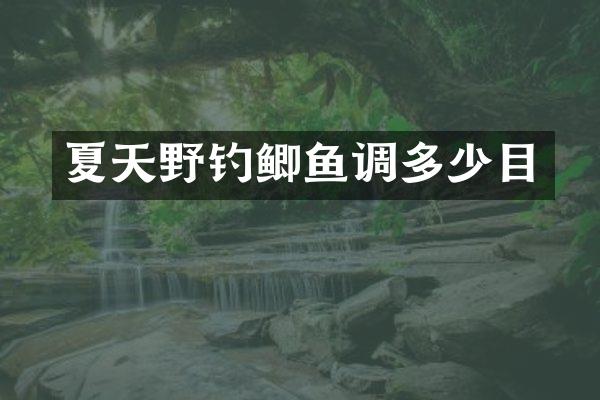 夏天野钓鲫鱼调多少目