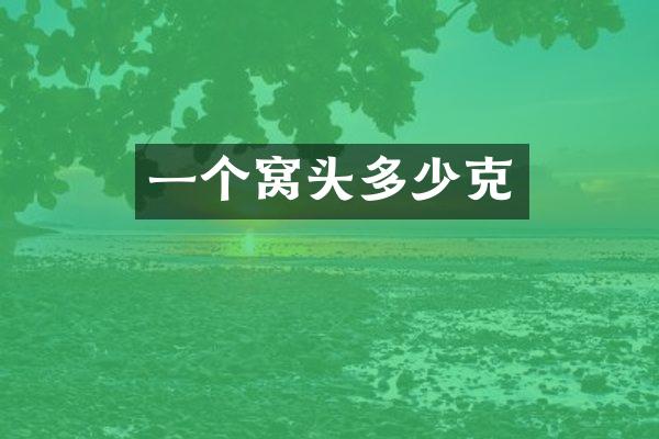 一个窝头多少克