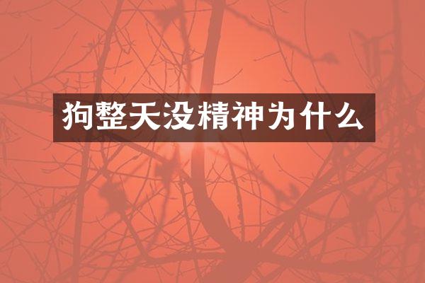 狗整天没精神为什么