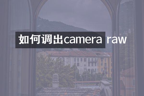 如何调出camera raw