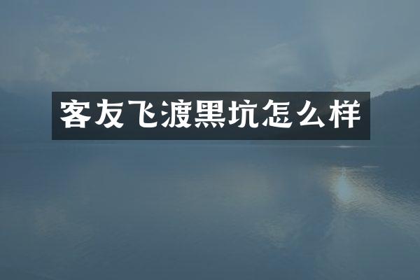 客友飞渡黑坑怎么样