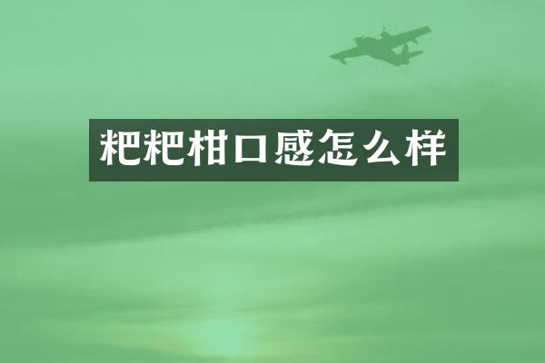 粑粑柑口感怎么样