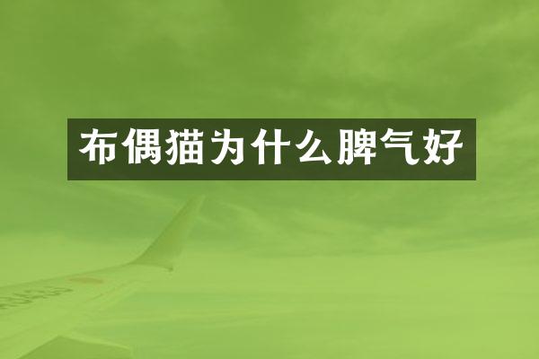 布偶猫为什么脾气好