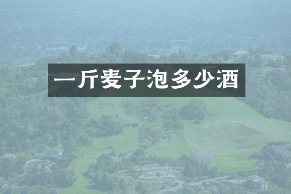 一斤麦子泡多少酒