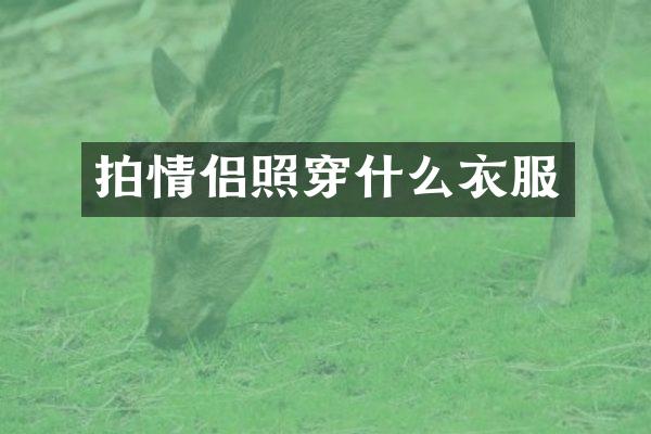 拍情侣照穿什么衣服